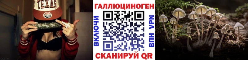 Псилоцибиновые грибы Psilocybe  закладка  Микунь 